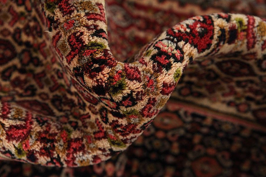 Senneh - Kurdi Tapis Persan 277x193 - Image 6