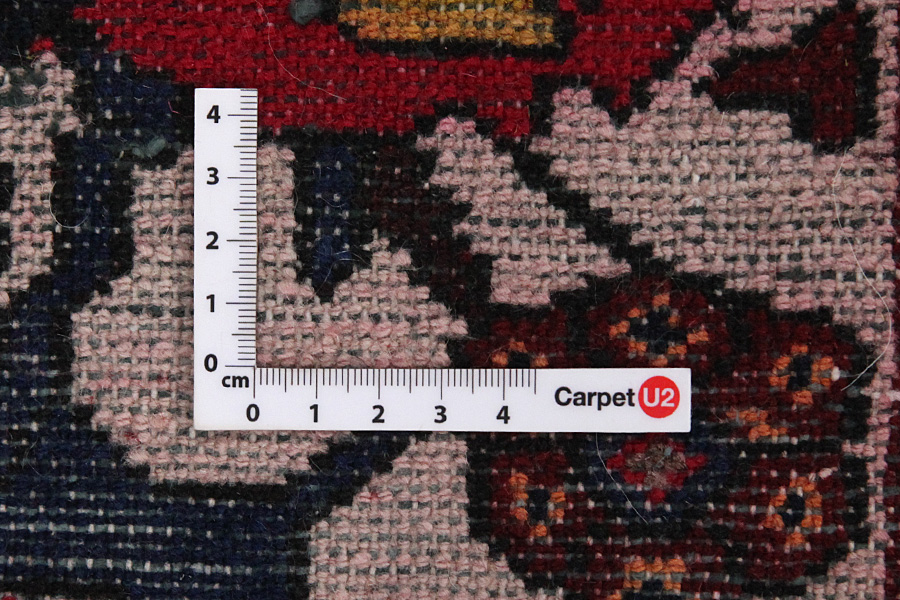 Bakhtiar - Garden Tapis Persan 303x171 - Image 3