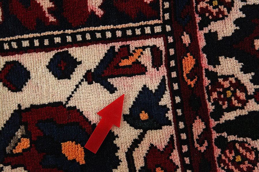Bakhtiar - Garden Tapis Persan 303x171 - Image 8