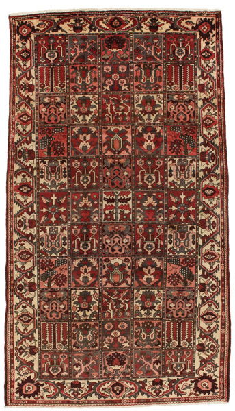 Bakhtiar - Garden Tapis Persan 304x170