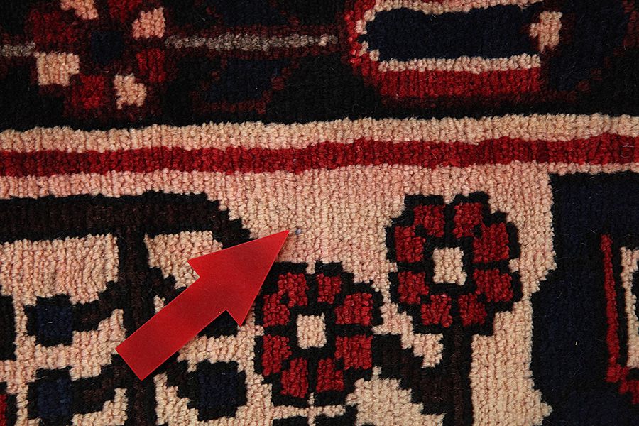 Bakhtiar - Garden Tapis Persan 305x205 - Image 8