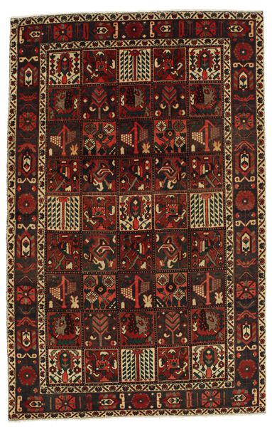 Bakhtiar - Garden
