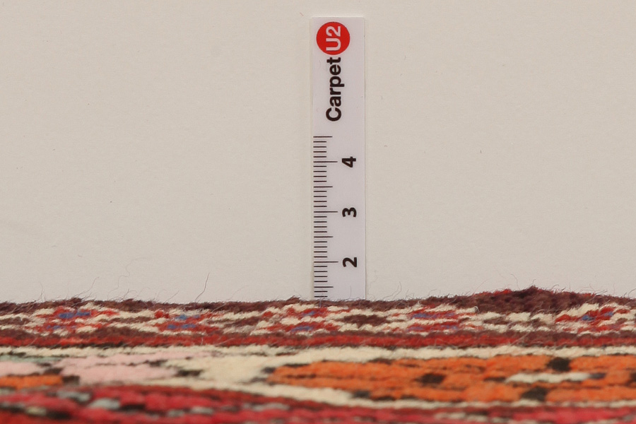 Jozan - Sarough Tapis Persan 270x150 - Image 8