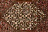 Bidjar - Kurdi Tapis Persan 294x195 - Image 6