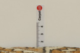 Gabbeh - Bakhtiar Tapis Persan 270x124 - Image 8