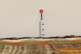 Gabbeh - Qashqai Tapis Persan 249x154 - Image 8