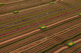 Kilim Fars - Qashqai 267x251 - Image 10