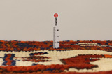 Bakhtiar - Qashqai Tapis Persan 395x135 - Image 8