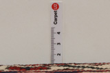Bakhtiari - Garden Perzisch Tapijt 301x205 - Afbeelding 8