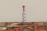 Bakhtiar - Garden Tapis Persan 294x202 - Image 8
