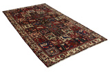 Bakhtiar - Garden Tapis Persan 310x168 - Image 1