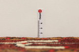 Lori - Bakhtiar Tapis Persan 223x160 - Image 8