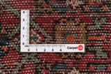 Borchalou - Hamadan Tapis Persan 305x157 - Image 4