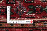 Borchalou - Hamadan Tapis Persan 293x205 - Image 4