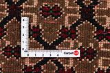 Songhor - Koliai Tapis Persan 287x162 - Image 4