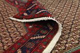 Songhor - Koliai Tapis Persan 287x162 - Image 5