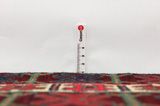 Afshar - old Tapis Persan 243x164 - Image 8