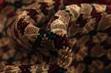 Songhor - Koliai Tapis Persan 300x150 - Image 7