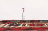 Afshar - Sirjan Tapis Persan 234x146 - Image 8