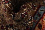 Songhor - Koliai Tapis Persan 283x150 - Image 7
