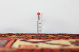 Nahavand - Hamadan Tapis Persan 288x158 - Image 8