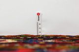 Lilihan - Sarouk Perzisch Tapijt 283x165 - Afbeelding 8