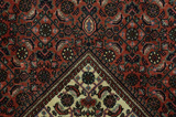 Bidjar Perzisch Tapijt 248x156 - Afbeelding 6
