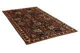 Bakhtiar - Garden Tapis Persan 293x158 - Image 1