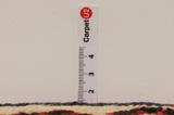 Yalameh - Qashqai Tapis Persan 247x128 - Image 8