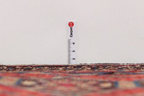 Afshar - Sirjan Tapis Persan 223x152 - Image 8
