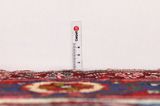 Nahavand - Hamadan Perzisch Tapijt 300x162 - Afbeelding 8